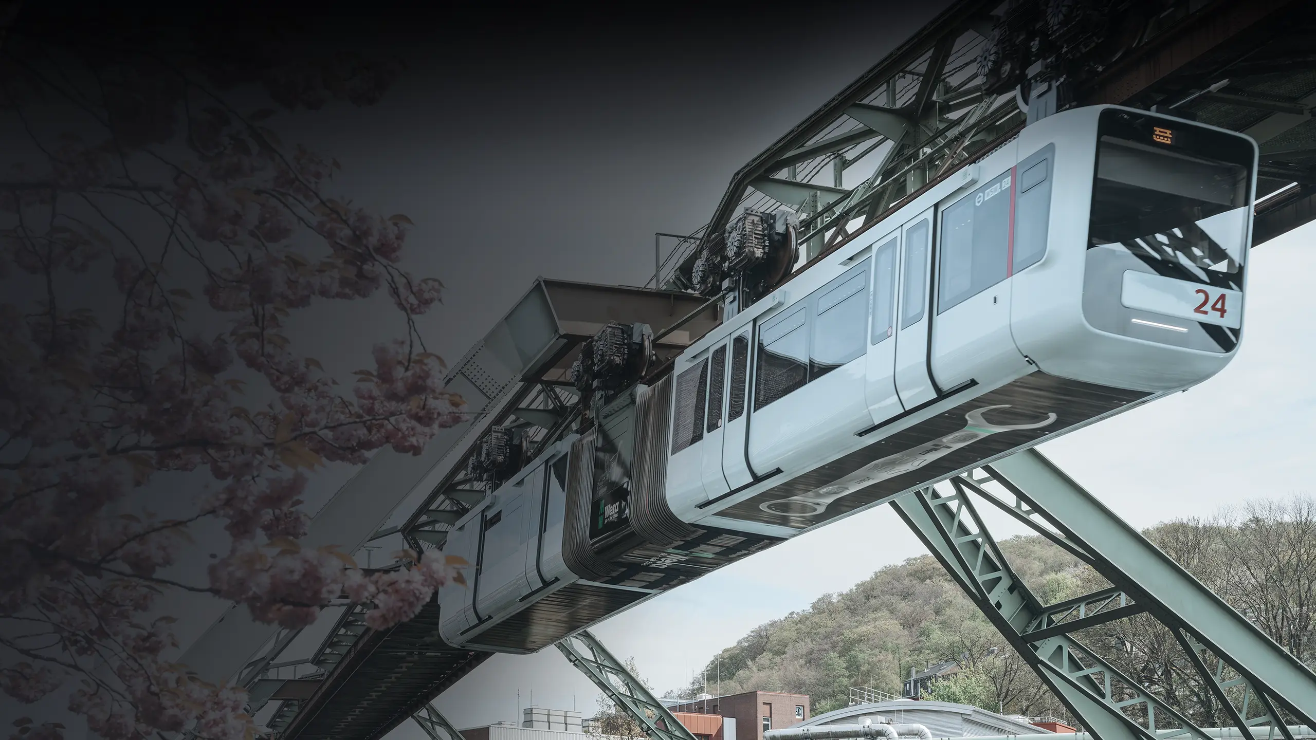 Wera Werkzeug für echte Rebellen